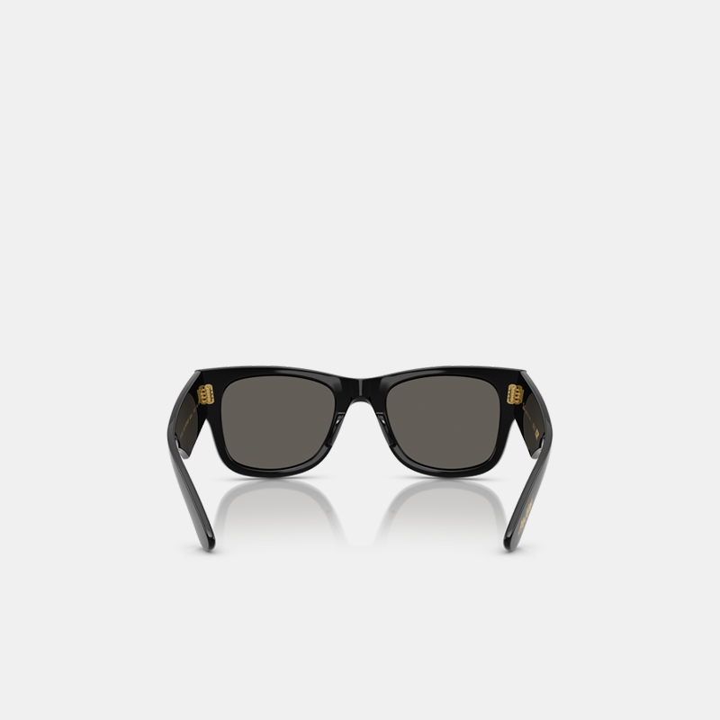 MEGA WAYFARER