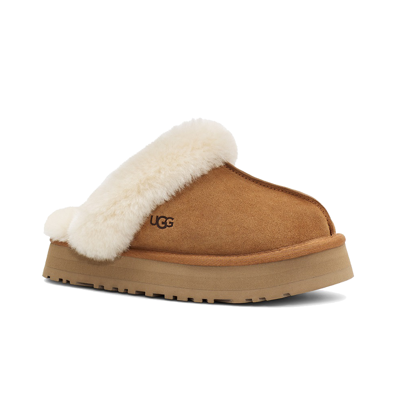 Disquette Chestnut
