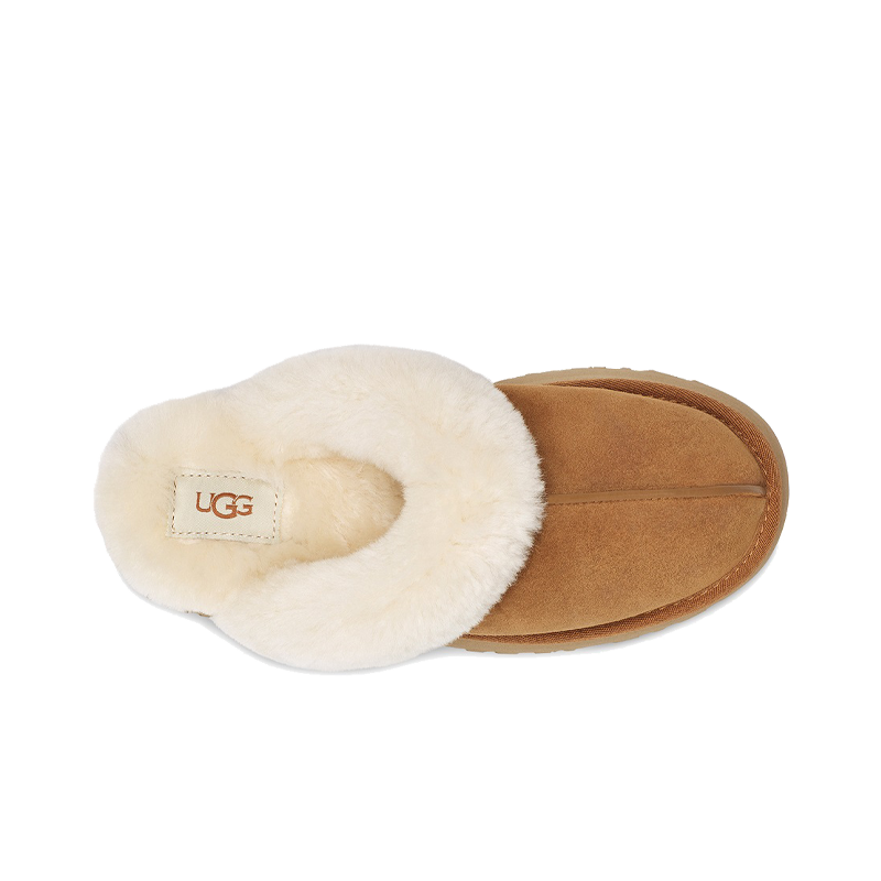 Disquette Chestnut