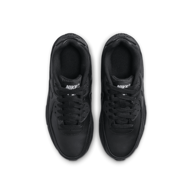 Air Max 90 LTR (GS)