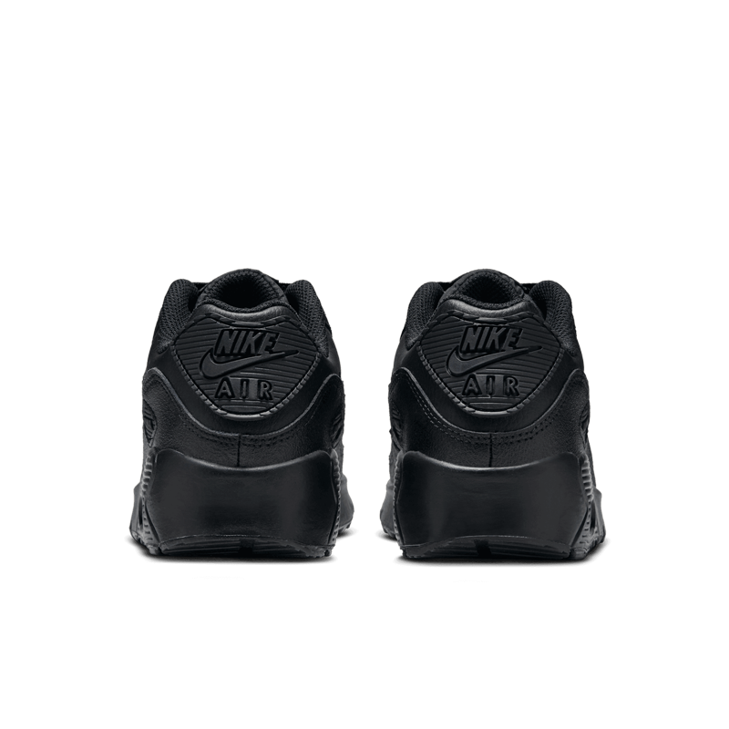 Air Max 90 LTR (GS)