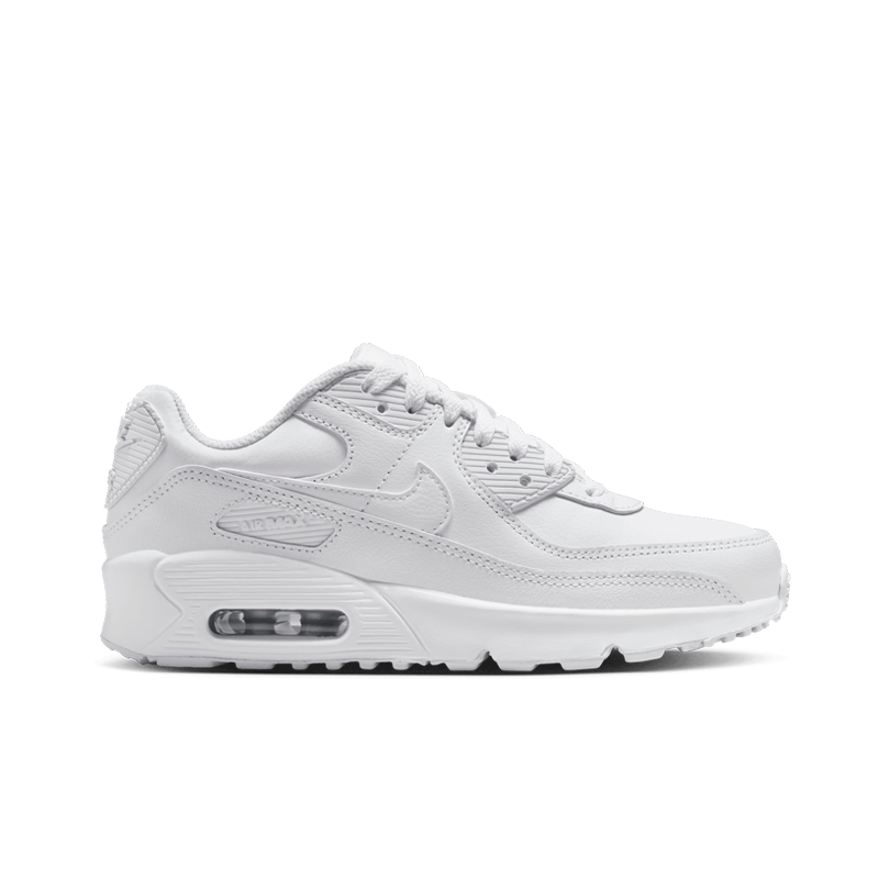 Air Max 90 LTR (GS)