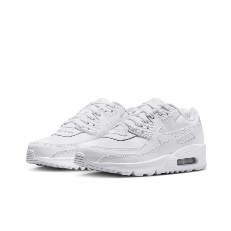 Air Max 90 LTR (GS)