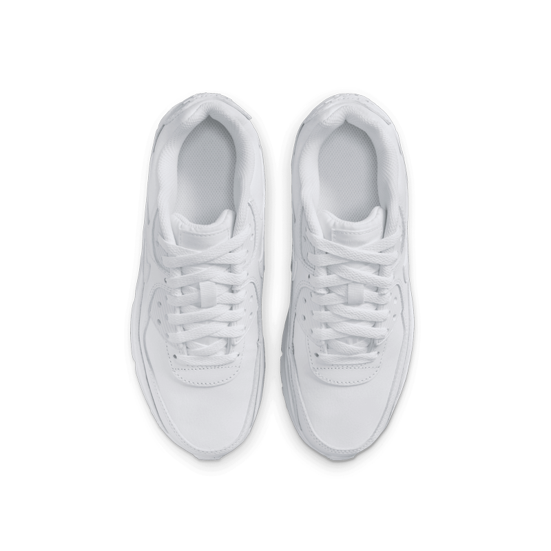 Air Max 90 LTR (GS)
