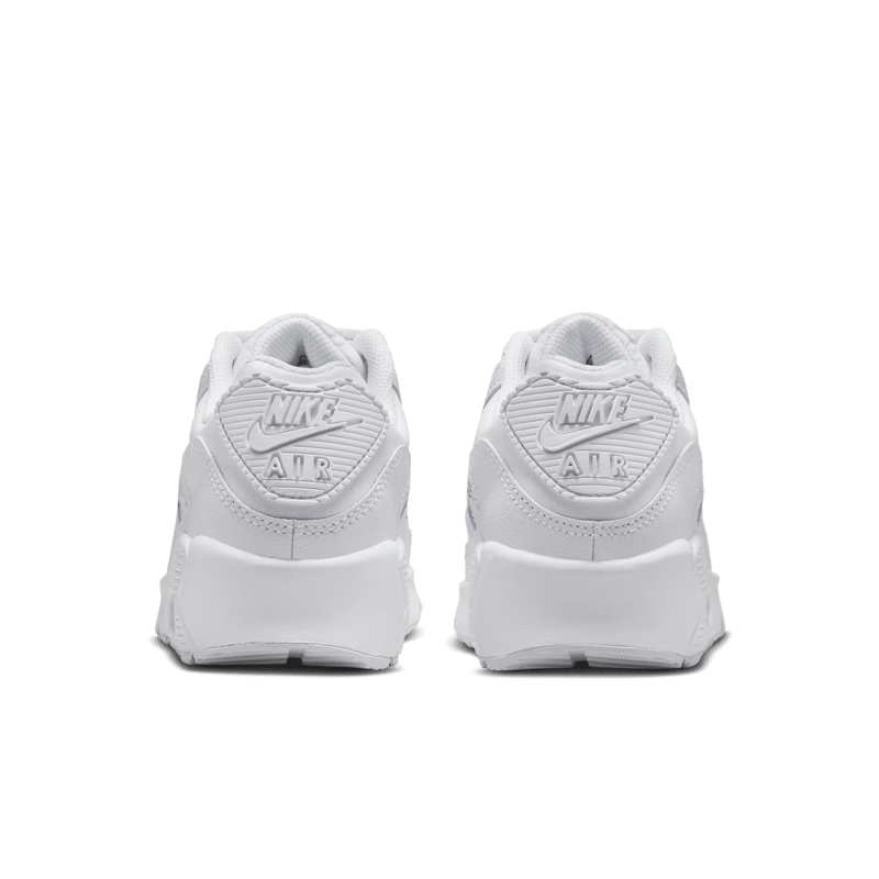 Air Max 90 LTR (GS)