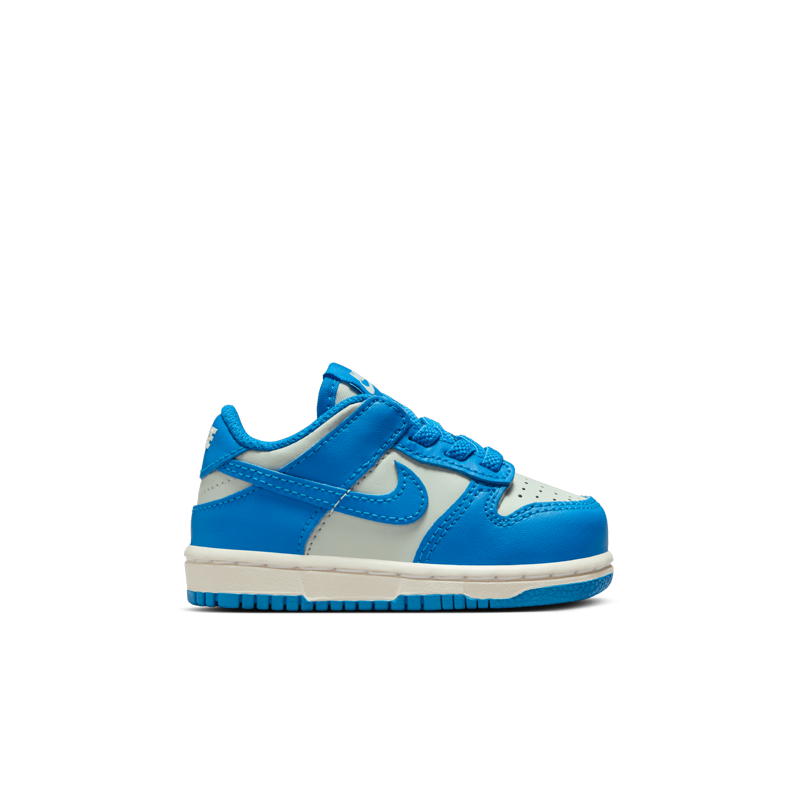 Dunk Low (TD)