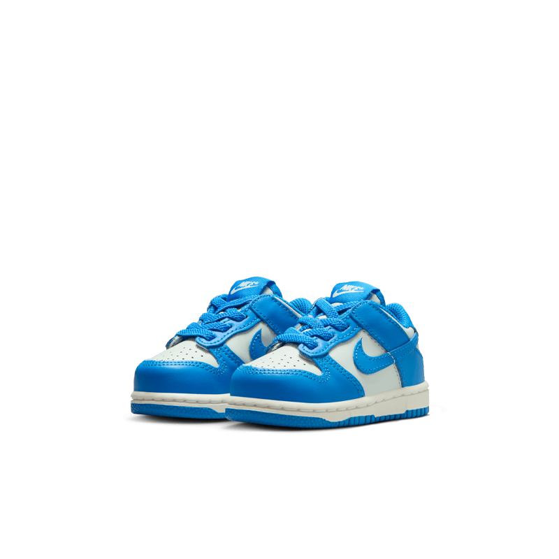 Dunk Low (TD)