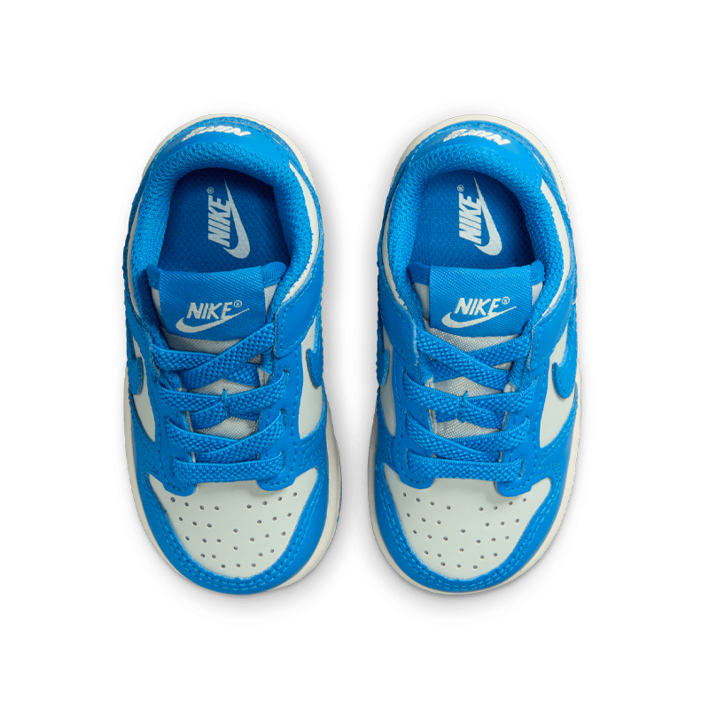 Dunk Low (TD)