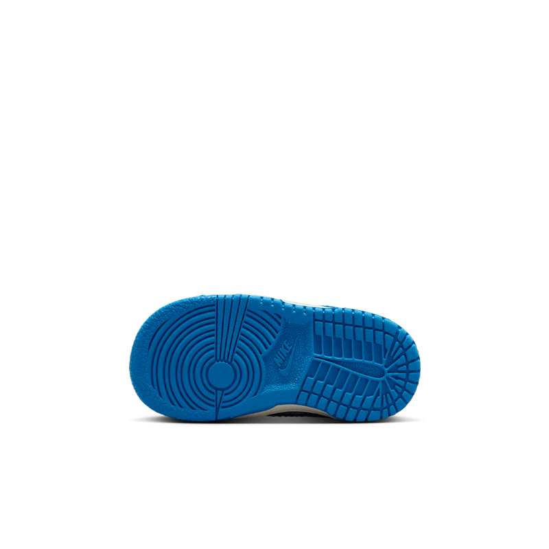 Dunk Low (TD)