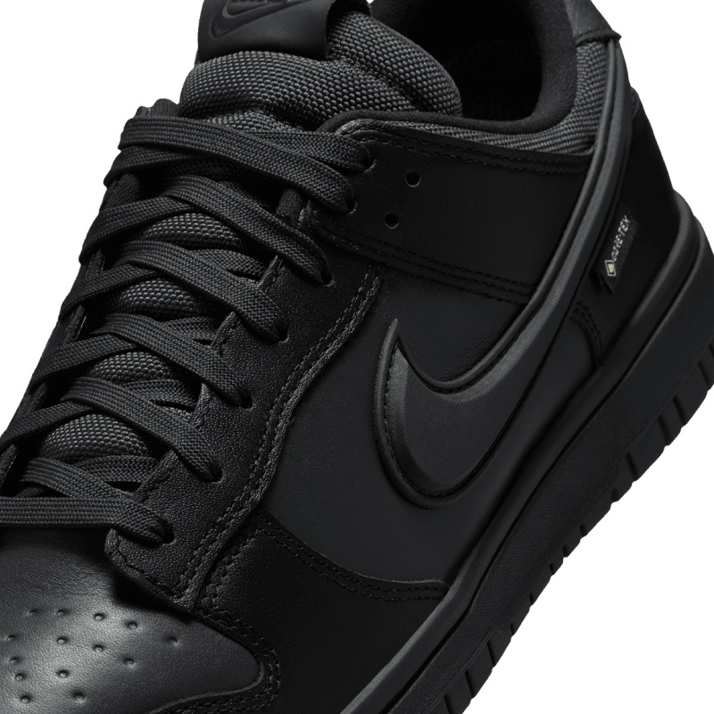 Dunk Low GTX
