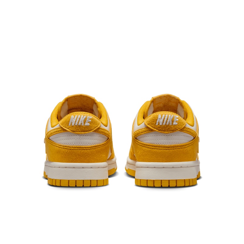 Dunk Low (W)