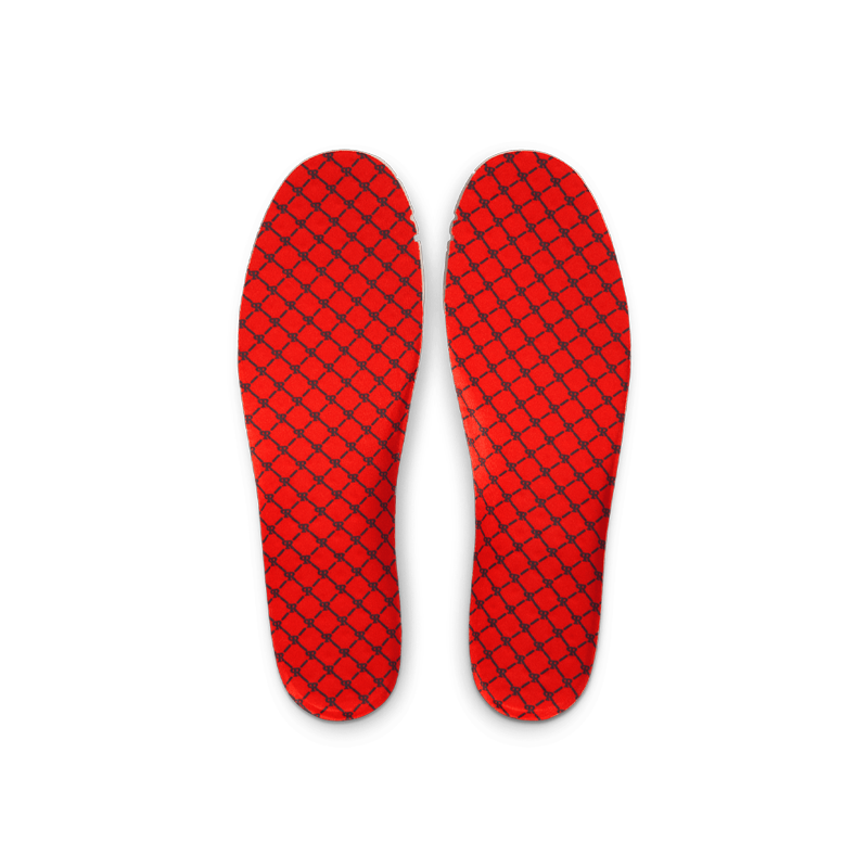 Paul Rodriguez Zoom Air Low QS