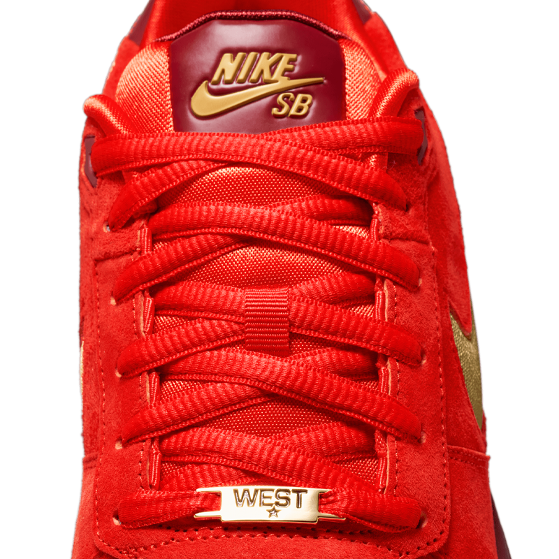 Paul Rodriguez Zoom Air Low QS