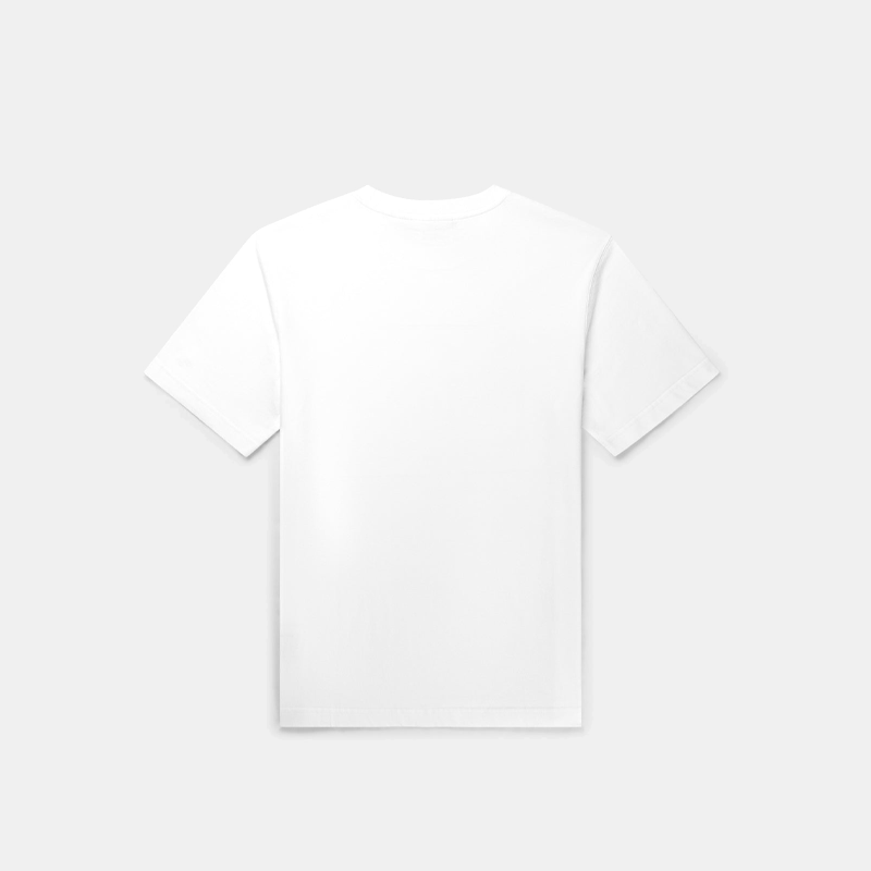 files/2513043-2.png