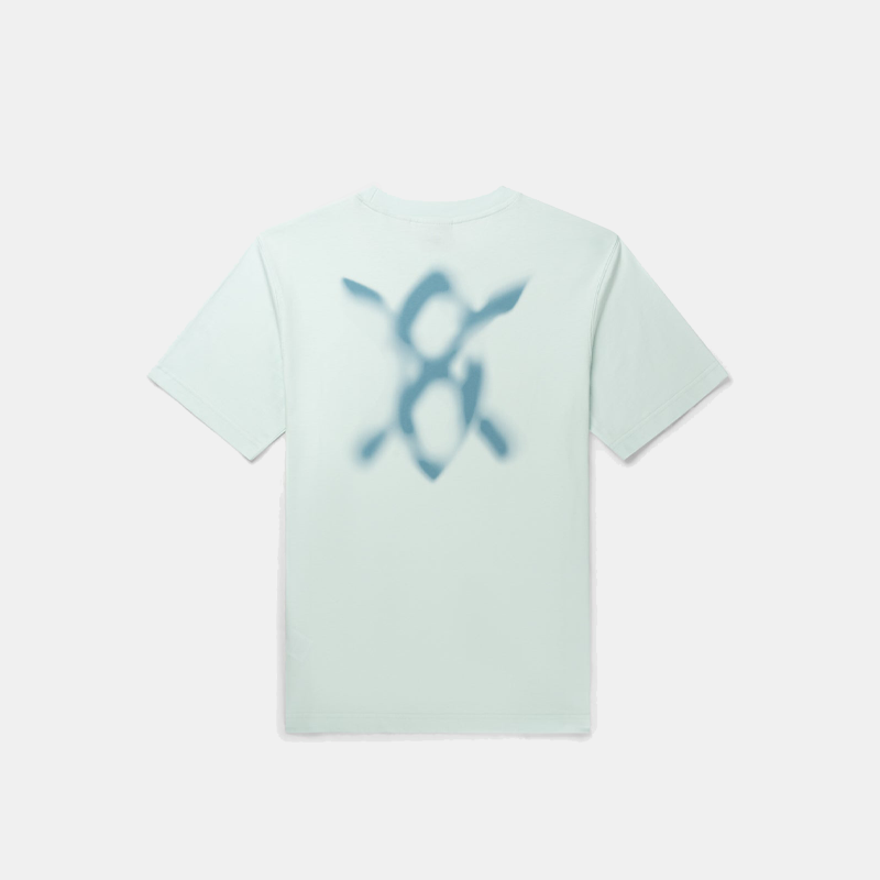 files/2513074-2.png