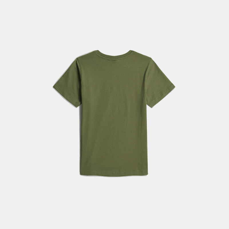 Regular T-Shirt Sage (B)