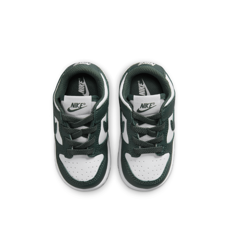 Dunk Low (TD)